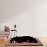 Ferplast Jolly Кучешка постелка XL 108 x 79 cm кафява - Image 2