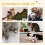 PawHut Котешко дърво 49 см с играчка за малки котки кафяво - Image 5