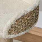 PawHut Котешко дърво 49 см с играчка за малки котки кафяво - Image 6