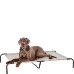 Amazon Basics Кучешко легло, XL, сиво, 153 x 94 x 23 см