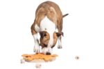 My Intelligent Dogs Интерактивна играчка за кучета, пъзел - Image 8