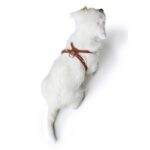 HUNTER Round & Soft Canadian UP Нагръдник за кучета - Image 5