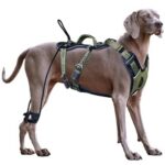 ANAFNI Easy Walk нагръдник за големи кучета, размер M, мъхестозелено