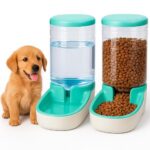 Edipets, Автоматична хранилка за котки и кучета, 3.8 л, Зелен - Image 7
