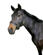 Covalliero кожен оглавник за коне - Image 4