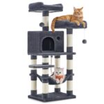 Feandrea котешка катерушка - Image 13