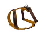 HUNTER NEOPREN нагръдник за кучета с неопренова подплата - Image 8
