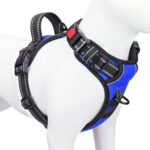 PHOEPET нагръдник със светлоотразителни елементи - Image 11