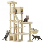 Feandrea Clawfy котешка катерушка - Image 10