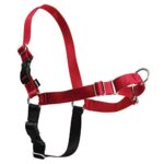 PetSafe Нагръдник за кучета Easy Walk - Image 11
