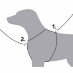 TRIXIE Trekking нагръдник, L: 70–85 см, 25 мм, Петролно/Графитно - Image 4