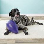 Jolly Pets Играчка за кучета Egg, 30 см, лилава - Image 7