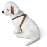 HUNTER Round & Soft Canadian UP Нагръдник за кучета - Image 6