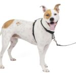 PetSafe 3-в-1 нашийник, размер M, черен