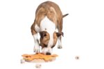 My Intelligent Dogs Интерактивна играчка за кучета, пъзел