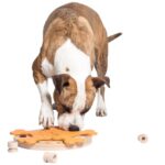 My Intelligent Dogs Интерактивна играчка за кучета, пъзел