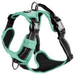 Bobby Rando Walk нагръдник - Image 7