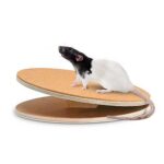 Karlie Bogie Disc Дървена играчка за кучета ø: 30 см - Image 3