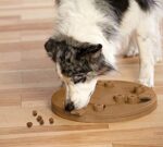 Outward Hound Dog Worker Играчка пъзел за кучета, ниво 3, кафява - Image 2