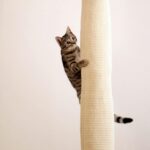 Kerbl Pet Climber висящ чувал за катерене за котки - Image 4