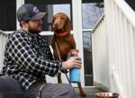 Dexas MudBuster уред за почистване на кучешки лапи, размер L, син - Image 5