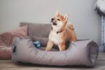 BedDog Легло за кучета Zara с пране на калъфа - Image 6