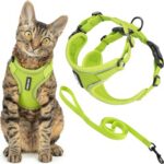 Best Pet Supplies Voyager Step-In Lock нагръдник за кучета и котки, S - Image 13