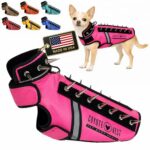 CoyoteVest SpikeVest защитен нагръдник с шипове и светлоотразителни елементи - Image 11