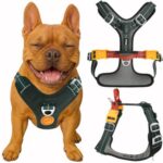 Nomadog Trailblazer нагръдник за кучета с дръжка - Image 11