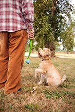 Chuckit! Fetch Medley топки Среден размер 3 броя - Image 7