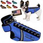 CoyoteVest SpikeVest защитен нагръдник с шипове и светлоотразителни елементи - Image 18