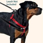 2 Hounds Design Freiheit нагръдник за куче, размер M - Image 11