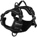 Flamingo Нагръдник за кучета Balou Черен L 40-62 см А. гръдна обиколка / 60-85 см Б. корем - Image 8