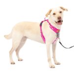 PetSafe Easy Walk Comfort нагръдник против дърпане