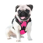 PHOEPET нагръдник със светлоотразителни елементи - Image 7
