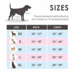 PHOEPET нагръдник със светлоотразителни елементи - Image 6