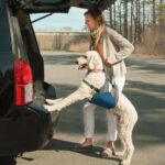 Kurgo Up & About поддържащ нагръдник за повдигане на кучета — син/антрацит, универсален размер - Image 8