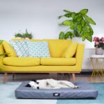 FERPLAST Ортопедично легло за големи кучета 95 x 60 x 8 см, сиво - Image 3
