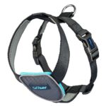 CarSafe автомобилен нагръдник