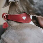 HUNTER Love нашийник за кучета - Image 8