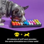 Brightkins Kanoodle Dog Edition, интерактивна играчка за кучета - Различни цветове, Голям - Image 5
