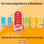 Nylabone, Играчка за дъвчене за кучета, вкус: пиле, голяма, до 23 кг - Image 4
