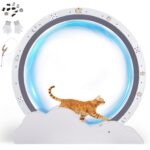 GTPLAYER колело за бягане за котки, 100 см, бяло, с основа във формата на облак
