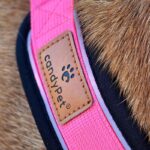 candyPet светлоотразителен Y-образен нагръдник - Image 6