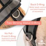 candyPet светлоотразителен Y-образен нагръдник - Image 7