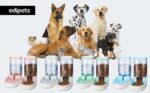 Edipets, Автоматична хранилка за котки и кучета, 3.8 л, Зелен - Image 6