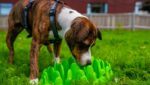 Green Интерактивна бавна хранилка за кучета, размер голям - Image 7