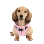 Puppia Junior нагръдник за малки кучета - Image 4