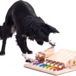 My Intelligent Dogs Интерактивна играчка за кучета, пъзел
