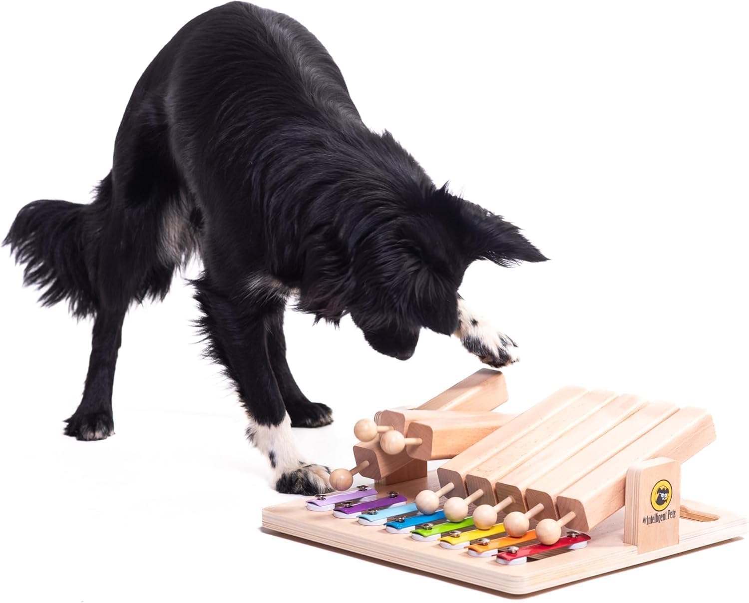 61jXzOGMtdL.jpg My Intelligent Dogs Интерактивна играчка за кучета, пъзел - Image 1